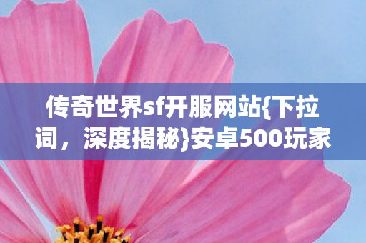 安卓500玩家亲述内幕图片
