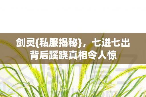 七进七出背后蹊跷真相令人惊图片