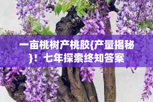 七年探索终知答案图片