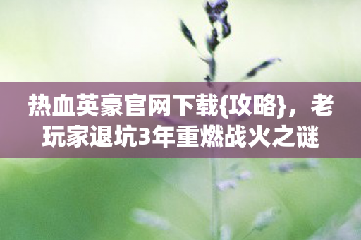 老玩家退坑3年重燃战火之谜图片
