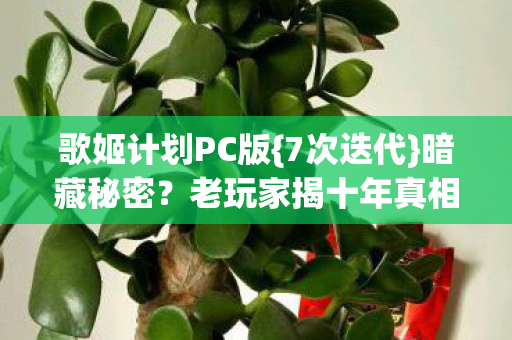 老玩家揭十年真相图片