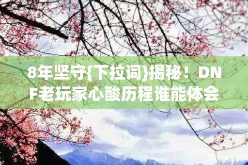 DNF老玩家心酸历程谁能体会图片