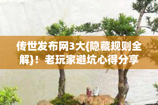 老玩家避坑心得分享图片