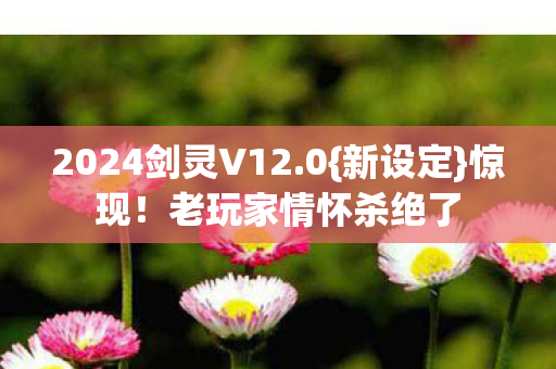2024剑灵V12图片