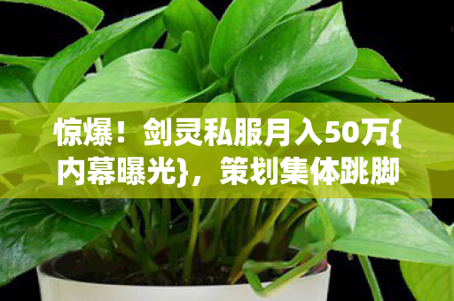 剑灵私服月入50万图片