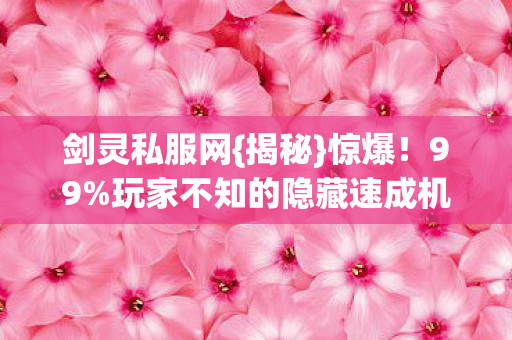 玩家不知的隐藏速成机制图片
