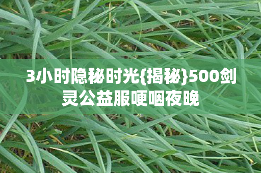 500剑灵公益服哽咽夜晚图片