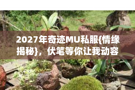 2027年奇迹MU私服图片
