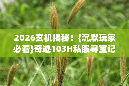 奇迹103H私服寻宝记图片