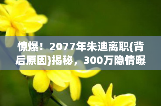 2077年朱迪离职图片