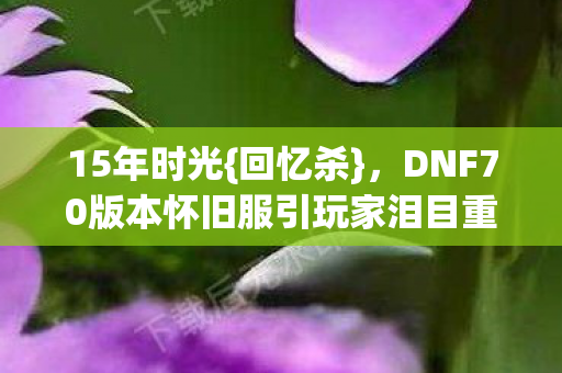 DNF70版本怀旧服引玩家泪目重逢图片