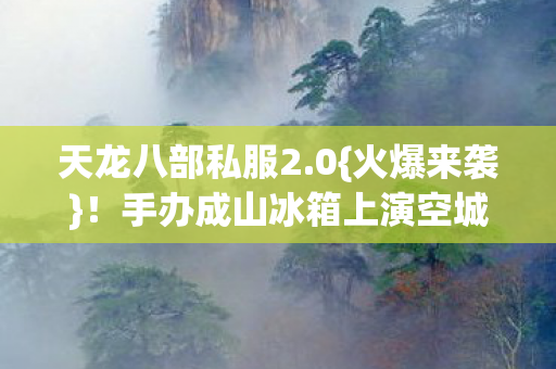天龙八部私服2.0{火爆来袭}！手办成山冰箱上演空城计