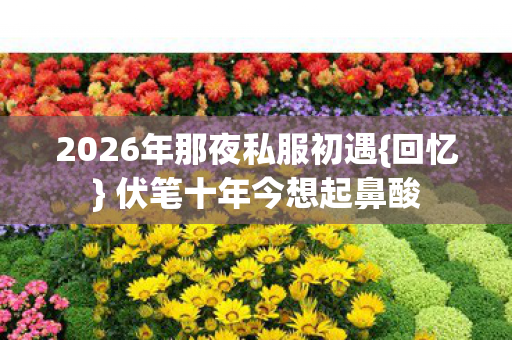 2026年那夜私服初遇{回忆} 伏笔十年今想起鼻酸