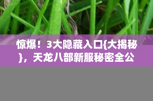 惊爆！3大隐藏入口{大揭秘}，天龙八部新服秘密全公开