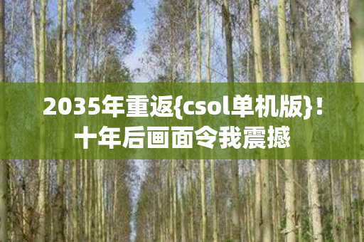 2035年重返{csol单机版}！十年后画面令我震撼