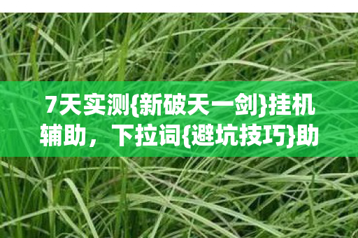 新破天一剑图片