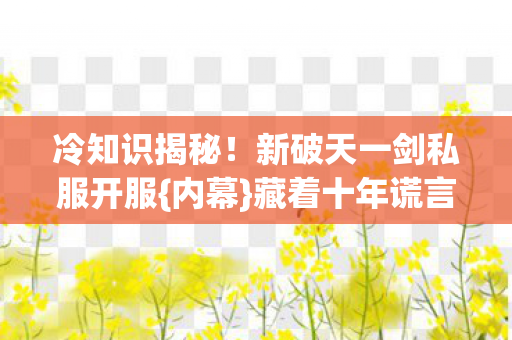 新破天一剑私服开服图片
