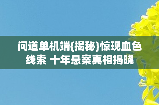 问道单机端{揭秘}惊现血色线索 十年悬案真相揭晓 问道单机端{揭秘}惊现血色线索 十年悬案真相揭晓
