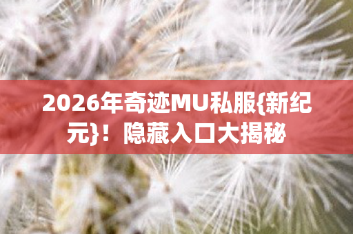 2026年奇迹MU私服图片