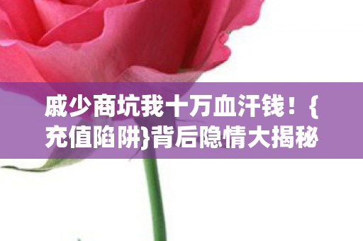 戚少商坑我十万血汗钱图片