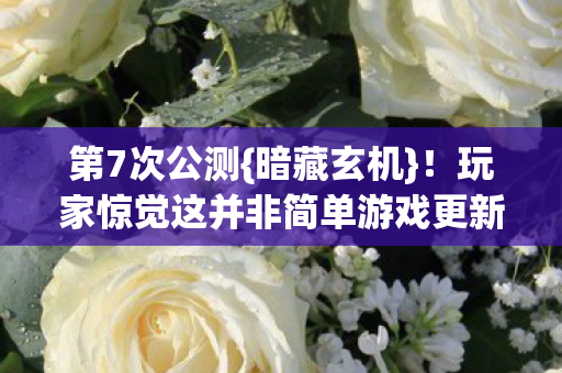 第7次公测{暗藏玄机}!玩家惊觉这并非简单游戏更新 第7次公测{暗藏玄机}!玩家惊觉这并非简单游戏更新