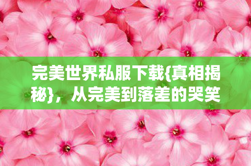 完美世界私服下载{真相揭秘},从完美到落差的哭笑历程 完美世界私服下载{真相揭秘},从完美到落差的哭笑历程