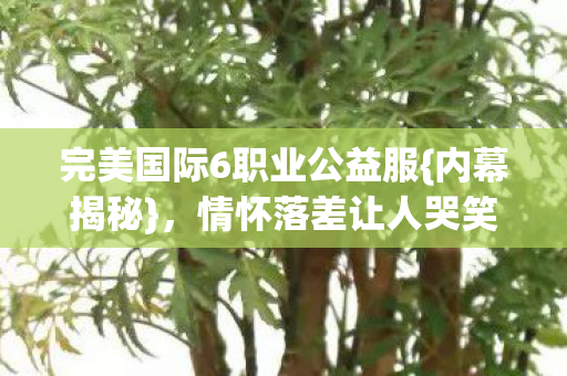 完美国际6职业公益服图片