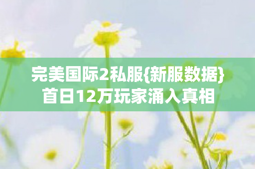 首日12万玩家涌入真相图片