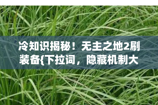 冷知识揭秘!无主之地2刷装备{下拉词,隐藏机制大公开}! 冷知识揭秘!无主之地2刷装备{下拉词,隐藏机制大公开}!
