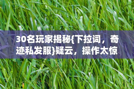 30名玩家揭秘图片