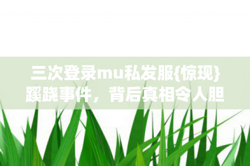三次登录mu私发服图片