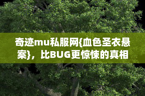 比BUG更惊悚的真相揭秘图片