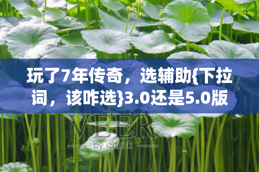 玩了7年传奇，选辅助{下拉词，该咋选}3.0还是5.0版？