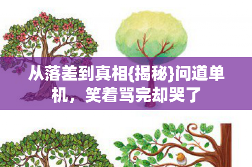 从落差到真相{揭秘}问道单机,笑着骂完却哭了 从落差到真相{揭秘}问道单机,笑着骂完却哭了