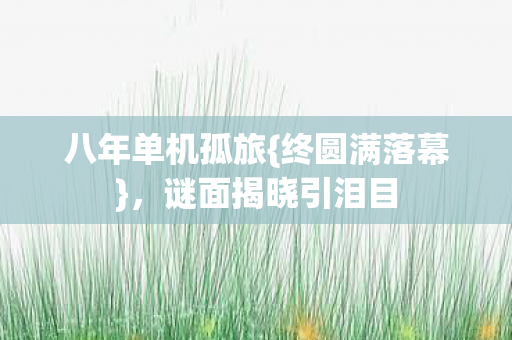 八年单机孤旅{终圆满落幕}，谜面揭晓引泪目