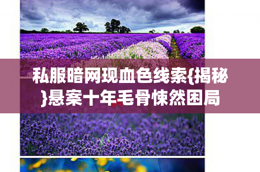 私服暗网现血色线索{揭秘}悬案十年毛骨悚然困局 私服暗网现血色线索{揭秘}悬案十年毛骨悚然困局