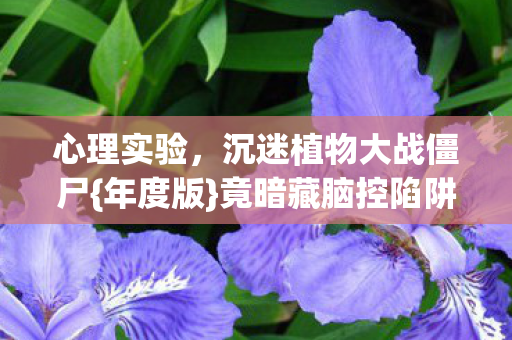 沉迷植物大战僵尸图片