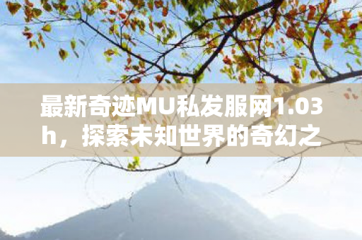 最新奇迹MU私发服网1图片