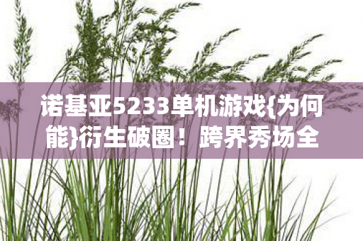 诺基亚5233单机游戏图片
