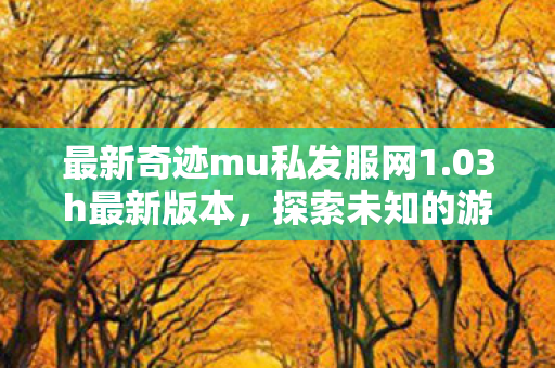 最新奇迹mu私发服网1图片