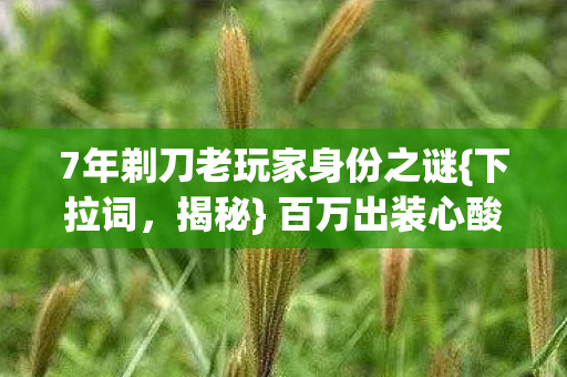 7年剃刀老玩家身份之谜图片