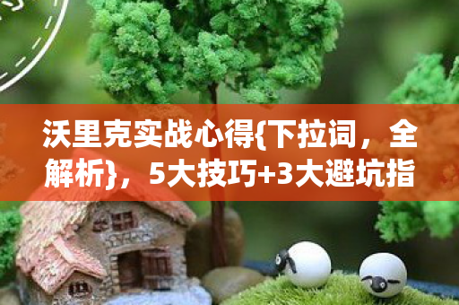 沃里克实战心得图片