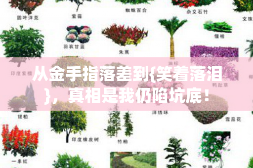 真相是我仍陷坑底图片