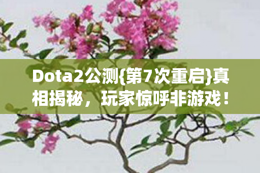 Dota2公测图片