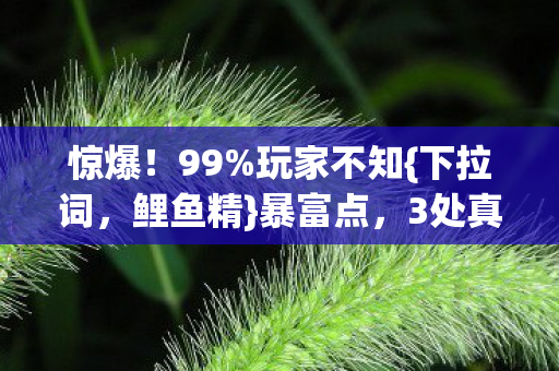3处真相揭秘图片