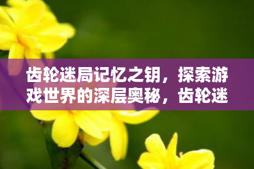 齿轮迷局记忆之钥，探索游戏世界的深层奥秘，齿轮迷局，解锁游戏世界的深层奥秘