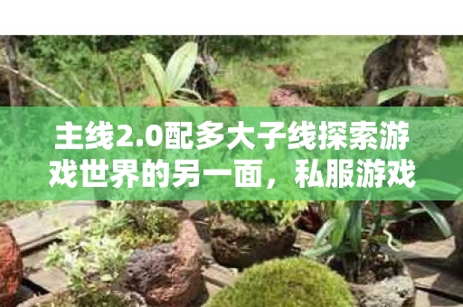 0配多大子线探索游戏世界的另一面图片
