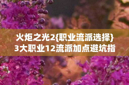 3大职业12流派加点避坑指南图片