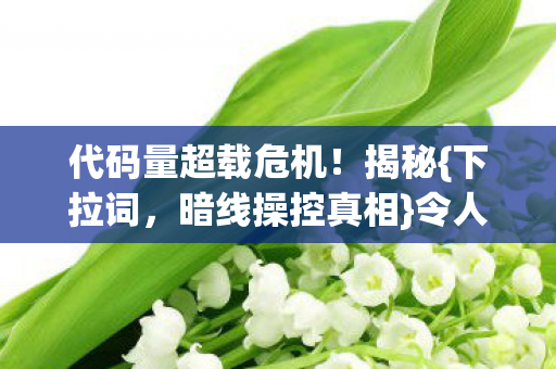 代码量超载危机图片