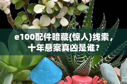 e100配件暗藏图片